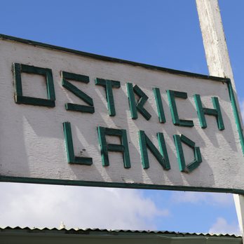 Ostrichland USA - Attraction Farms Near Me - Solvang, California Ostrichland USA - Attraction Farms Near Me - Solvang, California