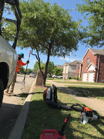 Two Brothers Tree Service - tree service in Fort Worth, TX