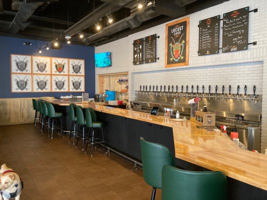 Locust Cider Belmar by null