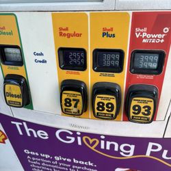 Loxahatche Shell