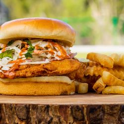 Latin Fixin's - Crispy Chicken Sandwich