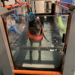 Our lab in the Oasis