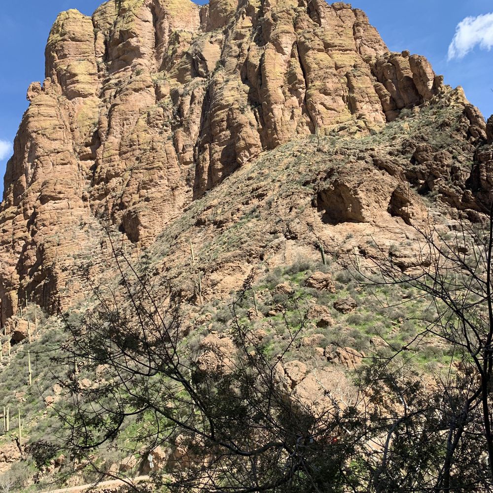 Tonto National Forest - Tonto national forest - Parks Near Me Tonto National Forest - Tonto national forest - Parks Near Me