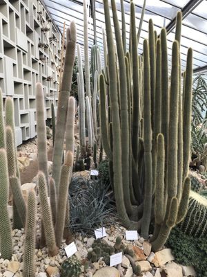 Photo of Tropengewächshäuser des Botanischen Gartens - Hamburg, HH, DE.