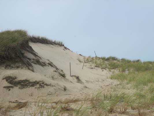 Great Island Trail by null