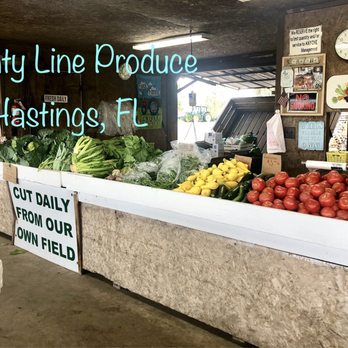 County Line Produce - Fruits & Veggies Near Me - Hastings, Florida County Line Produce - Fruits & Veggies Near Me - Hastings, Florida