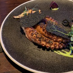 Octopus