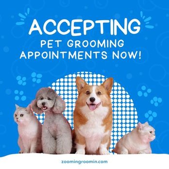 Zoomin Groomin - Pet Groomers Near Me - Phoenix, Arizona Zoomin Groomin - Pet Groomers Near Me - Phoenix, Arizona