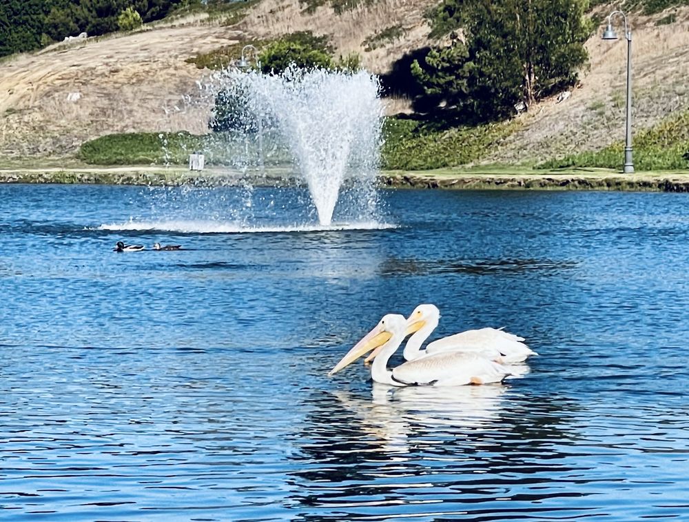 Libby Lake Park Logo