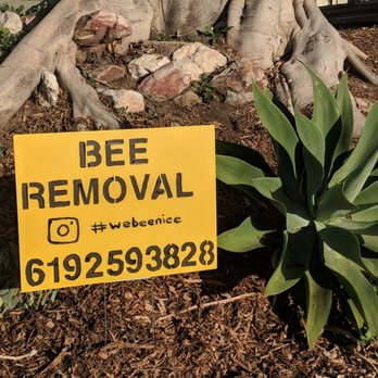 Bee Nice Wildlife Management - San Diego Beekeeping - Pest Control Near Me Bee Nice Wildlife Management - San Diego Beekeeping - Pest Control Near Me