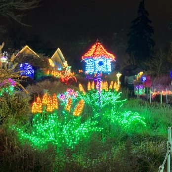 Bellevue Botanical Garden - Garden d'Lights - Botanical Gardens Near Me - Bellevue, Washington