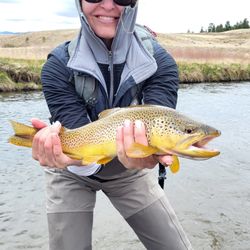 5280 Angler - Great South Park Brown