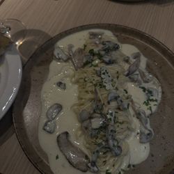 Toni's - Alfredo