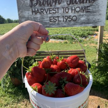 Brown Farms - 5/14/21 - Specialty Food Near Me - New Market, Alabama Brown Farms - 5/14/21 - Specialty Food Near Me - New Market, Alabama