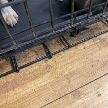Zen Doggy Den - Pet Sitting Near Me - Wheat Ridge, Colorado Zen Doggy Den - Pet Sitting Near Me - Wheat Ridge, Colorado