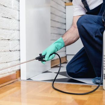 Excalibur Termite & Pest Control - Pest Control Near Me - Dayton, Ohio Excalibur Termite & Pest Control - Pest Control Near Me - Dayton, Ohio