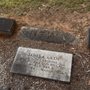 Photo of From Death To Life