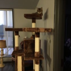 Nanette’s Pet Care - Again this is my cat Angel. She is laying on top of a 72 inch cat tree I built myself from a kit.