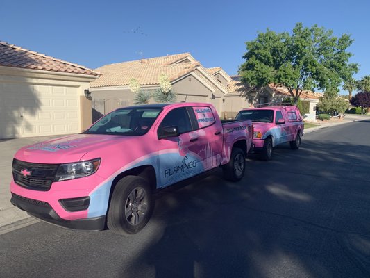 FLAMINGO POOL - Updated January 2025 - Las Vegas, Nevada - Pool & Hot