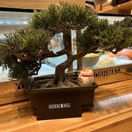 メンテナンス sushi Kiyo Sushi