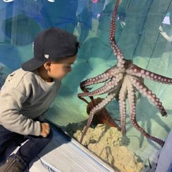 SeaQuest - Woodbridge