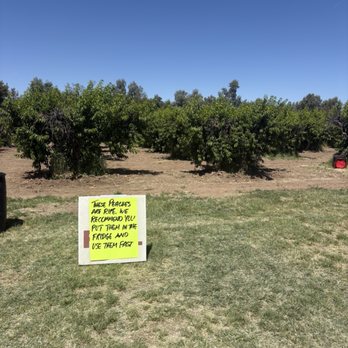 Schnepf Farms - A sign as you enter. - Venues & Event Spaces Near Me - Queen Creek, Arizona