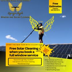 Squeegee Angels