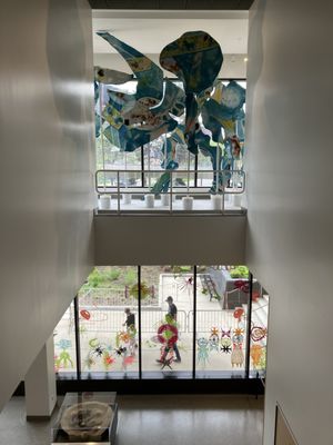 University of Michigan Museum of Natural History by null