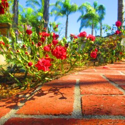 Abundant Life Landscape Maintenance