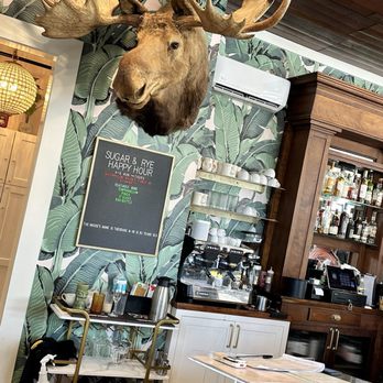 Sugar and Rye - Theodore the Moose - Breakfast & Brunch Near Me - Galveston, Texas Sugar and Rye - Theodore the Moose - Breakfast & Brunch Near Me - Galveston, Texas