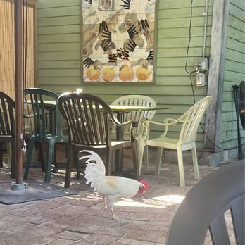 Blue Heaven - Breakfast & Brunch Near Me - Key West, Florida