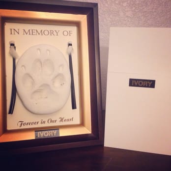 Compassionate Pet Cremation - Ivory at home - Pet Cremation Services Near Me - Henderson, Nevada Compassionate Pet Cremation - Ivory at home - Pet Cremation Services Near Me - Henderson, Nevada