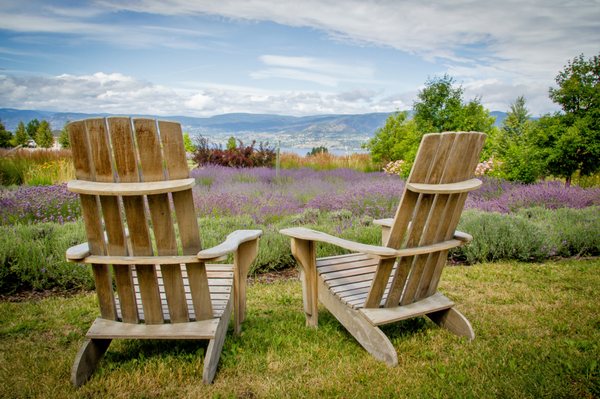 Okanagan Lavender & Herb Farm by null