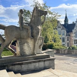 Universität Zürich - Overlooking his territory?