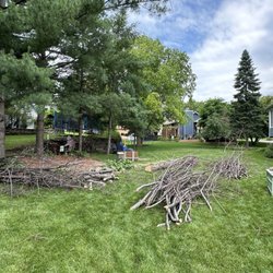 Family Tree Service LLC - Wood sorted by size after the job was completed.
