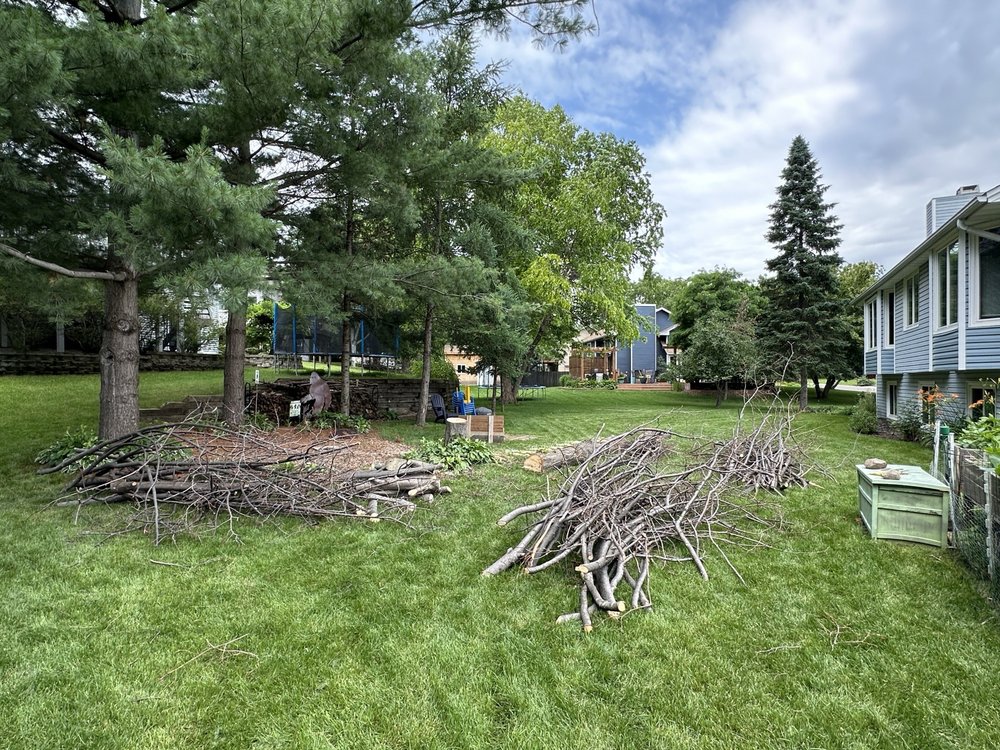 Family Tree Service LLC - tree service in Brooklyn Park, MN