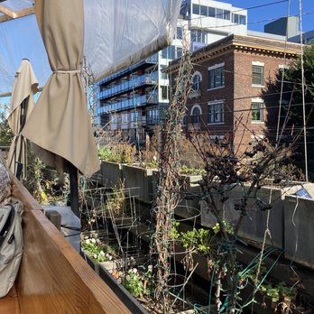 Terra Plata - View from the balcony seating - New American Near Me - Seattle, Washington
