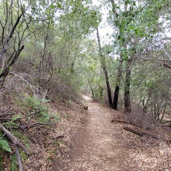 Three Sisters Falls - Hiking Near Me - Julian, California Three Sisters Falls - Hiking Near Me - Julian, California