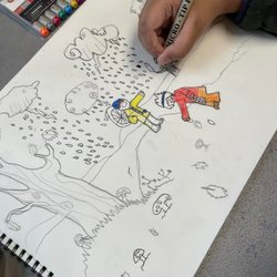 York Fine Arts