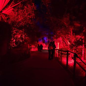 Tiger Trail - Way too dark at nighttime...couldnt see my own feet - Zoos Near Me - Escondido, California Tiger Trail - Way too dark at nighttime...couldnt see my own feet - Zoos Near Me - Escondido, California