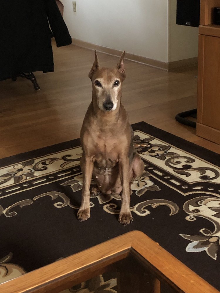 THE NATURAL PET ENRICHMENT CENTER 116 Photos & 12 Reviews Pet