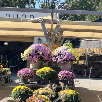 Above the Dirt - Nurseries & Gardening Near Me - Louisville, Kentucky Above the Dirt - Nurseries & Gardening Near Me - Louisville, Kentucky