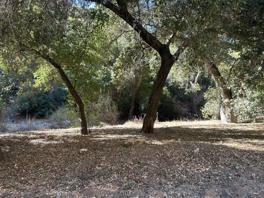 Claremont Hills Wilderness Park by null