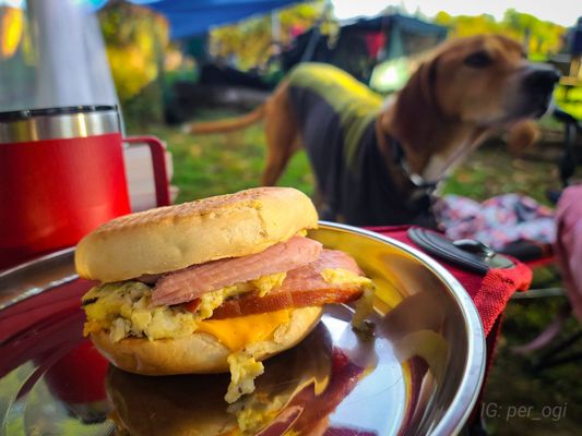 Arrowhead Bike Farm and Campground by null