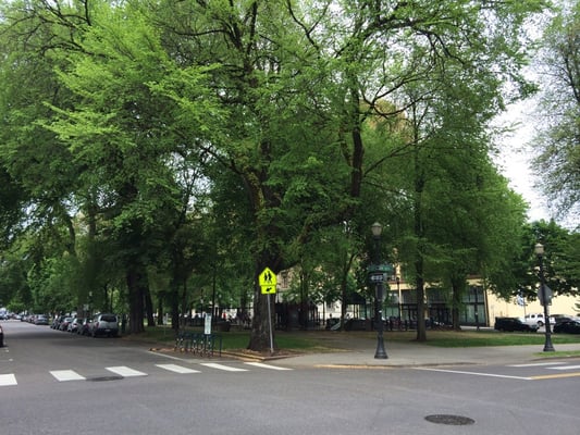 North Park Blocks by null