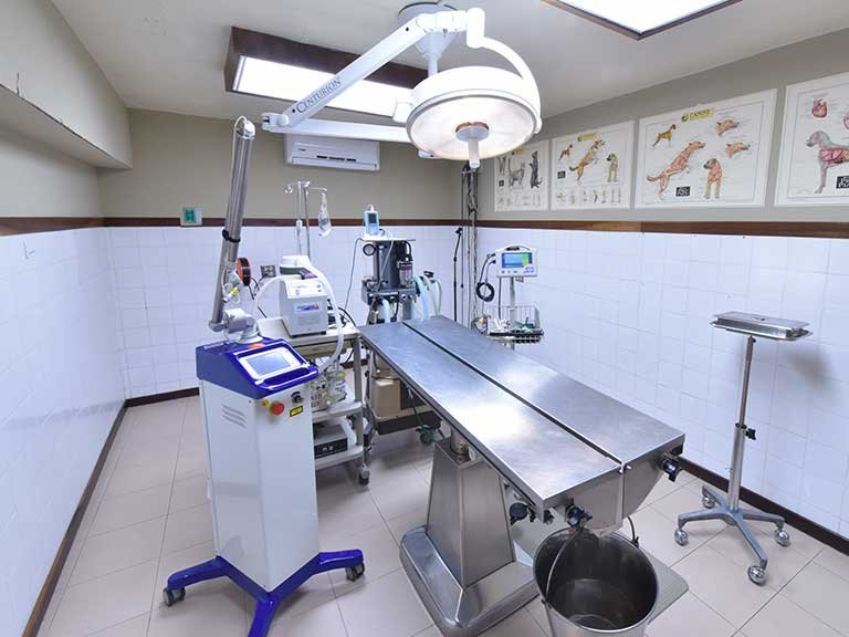 Clinica Veterinaria Gardenville Image
