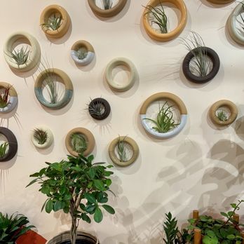 Viridian Plant - Cool air plant holders/ wall art - Nurseries & Gardening Near Me - Palmer, Alaska Viridian Plant - Cool air plant holders/ wall art - Nurseries & Gardening Near Me - Palmer, Alaska