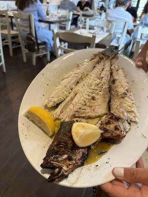 Agnanti by null Agnanti by null