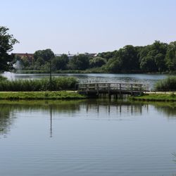 Knieperteich
