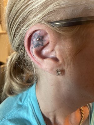 Black Bird Tattoo & Piercing by null